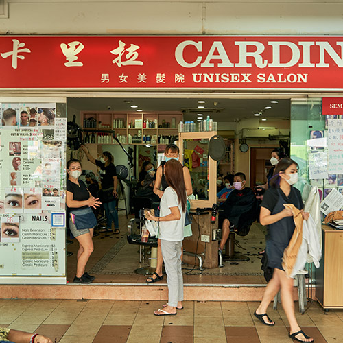 Cardinal Hairsalon